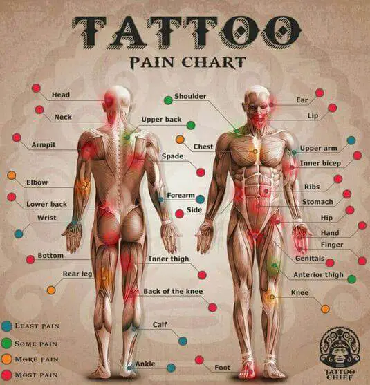 tattoo pain chart