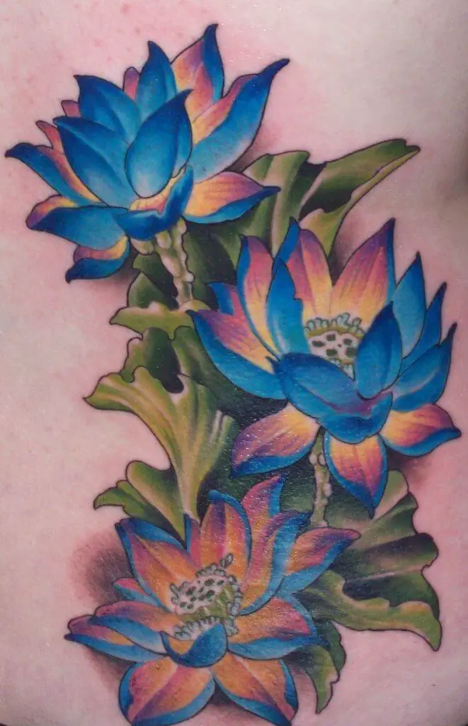 Lotus Flower Tattoo Meaning And Symbolism Colour Culture