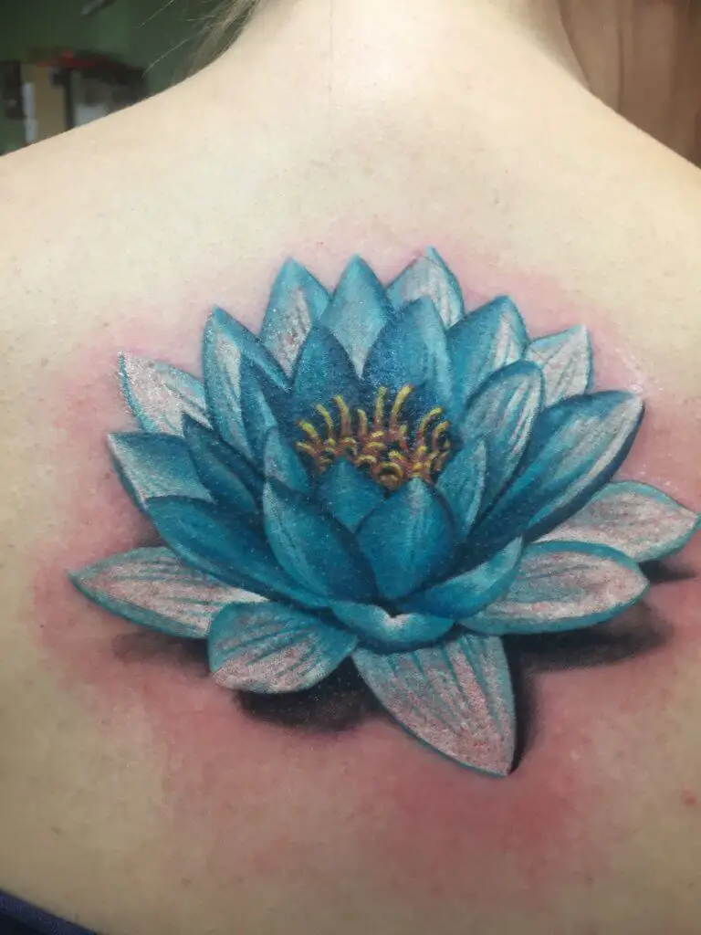 Lotus Flower Tattoo Meaning And Symbolism Colour Culture