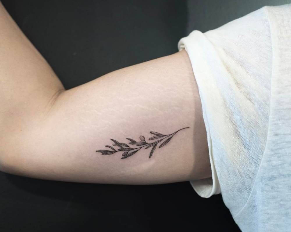 Temporary Tattoo  Minimalist Olive Branch  Espinacco Design