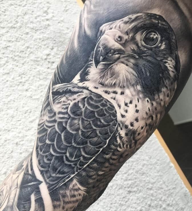 Falcons boston tattoo parlors