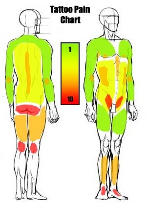 Tattoo Pain Chart Scale What Is The Most Least Painful Place Male   Female  Saved Tattoo