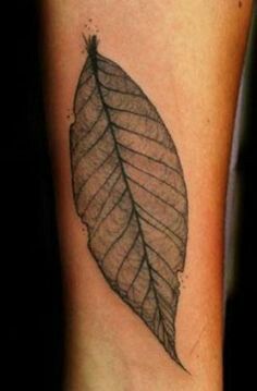 beech tree tattoo