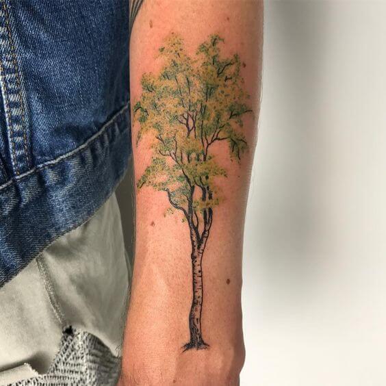 birch tree tattoo