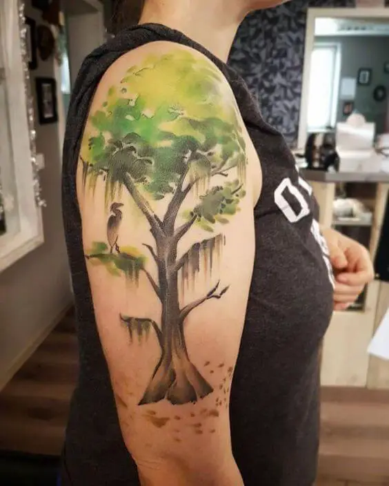 cypress tree tattoo