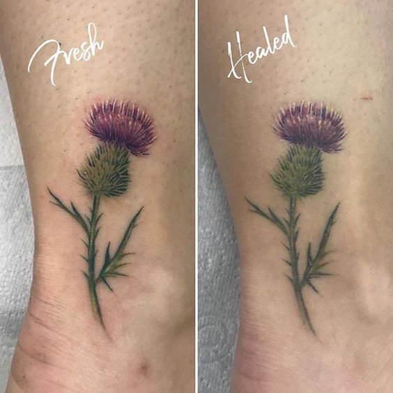Burdock leaf before and after tattoo