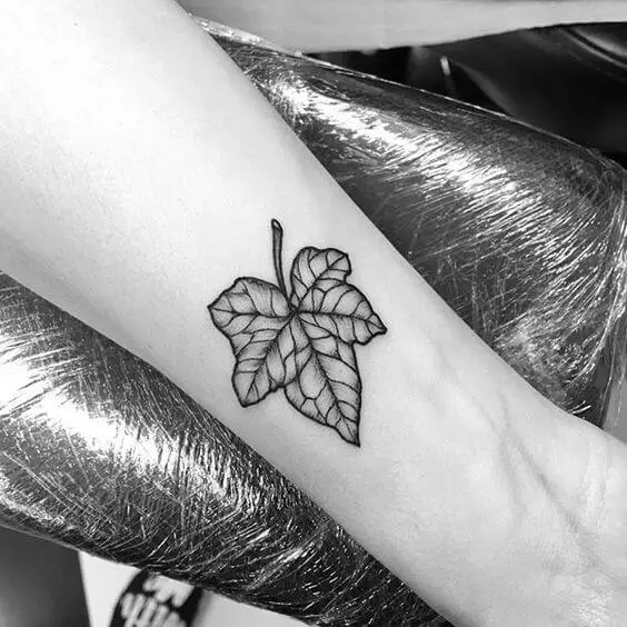 Little Ivy leaf