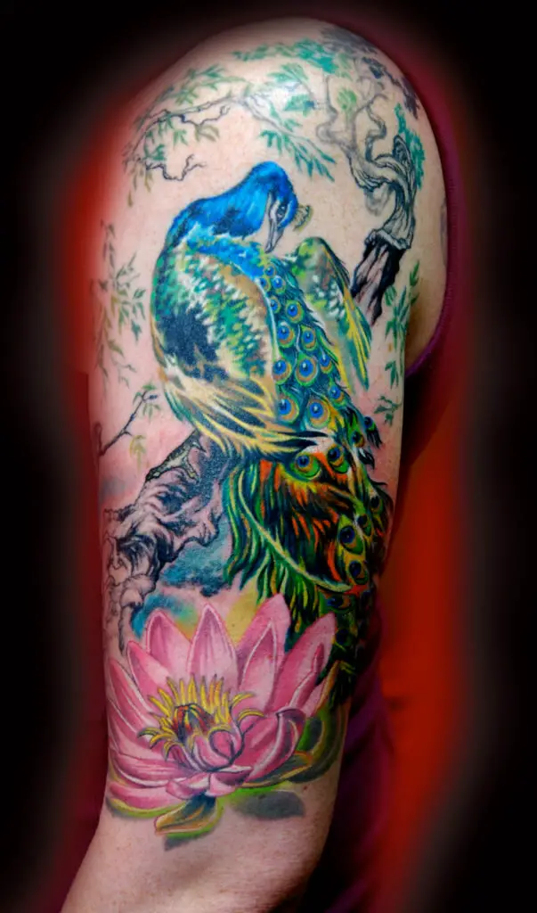 Peacock tattoo