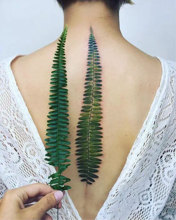 realistic leaf spine tattoo