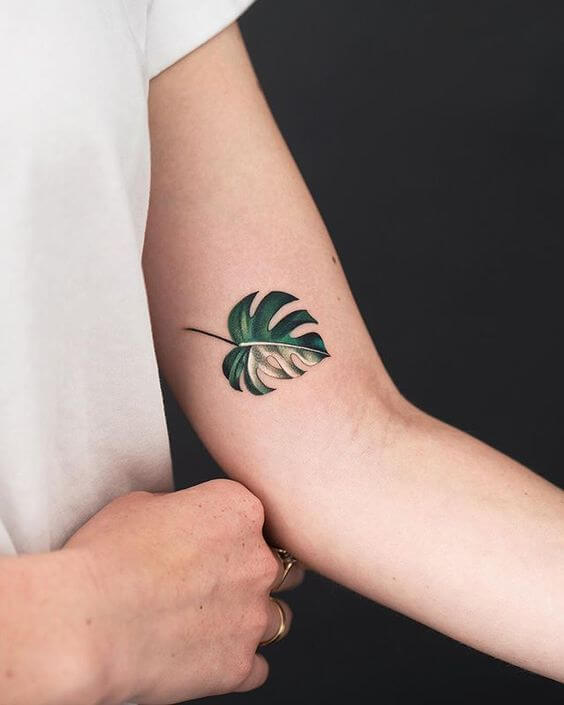 variegated monstera leaf colorful tattoo