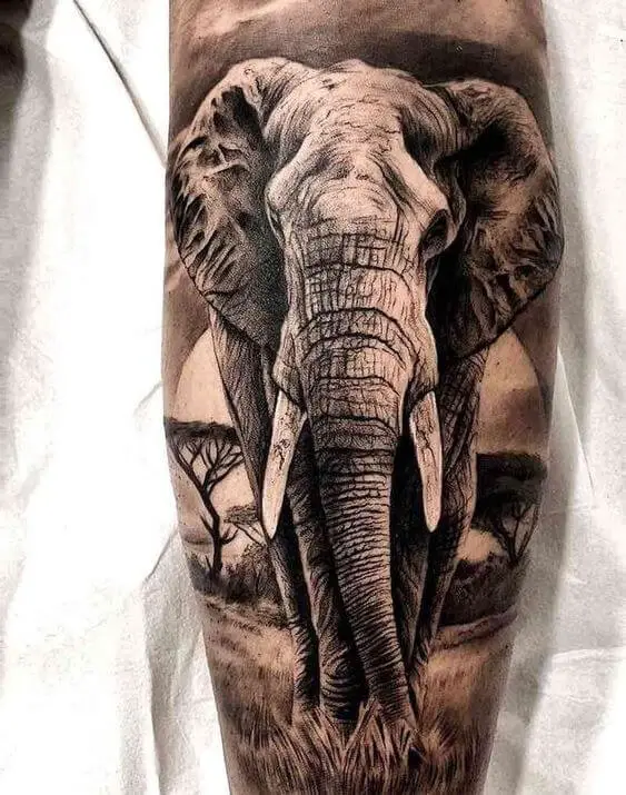 3D african elephants tattoos