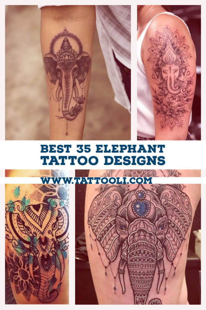 Best 35 Elephant <a href=