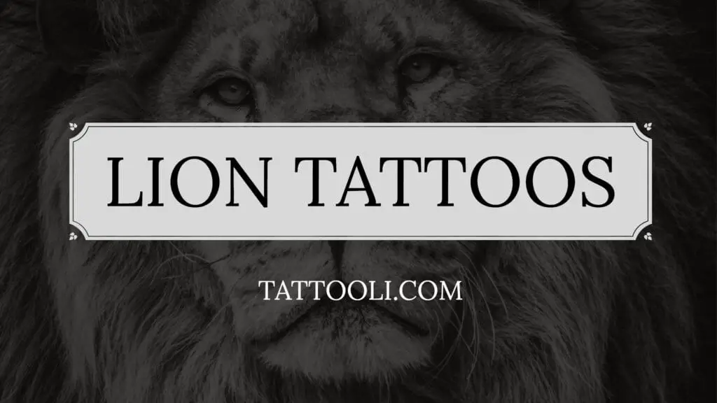 lion tattoos