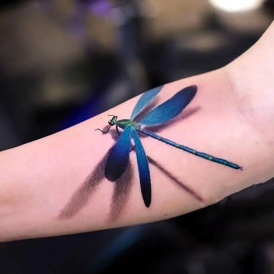 79 Artistic Dragonfly Tattoo Designs To Ink Sexy Your Body