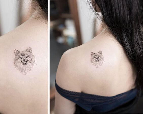 Cute Pomeranian Tattoo